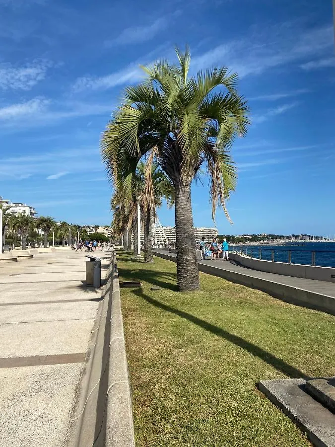 Domaine Valescure Vue Piscine Ou Pinede - Wifi Apartment Saint-Raphael