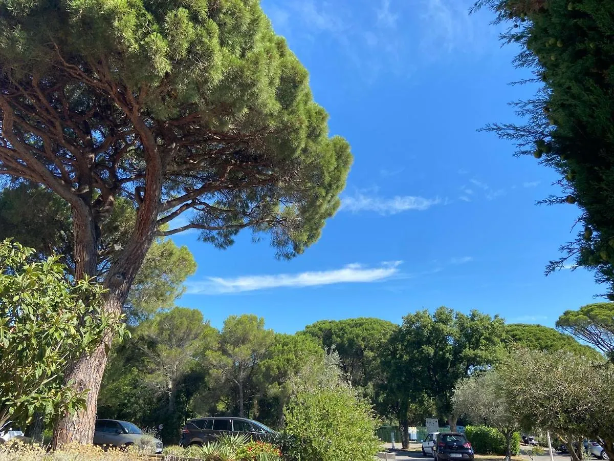 Domaine Valescure Vue Piscine Ou Pinede - Wifi Apartment Saint-Raphael
